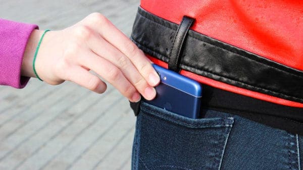 petty theft laws in California 484 pc
